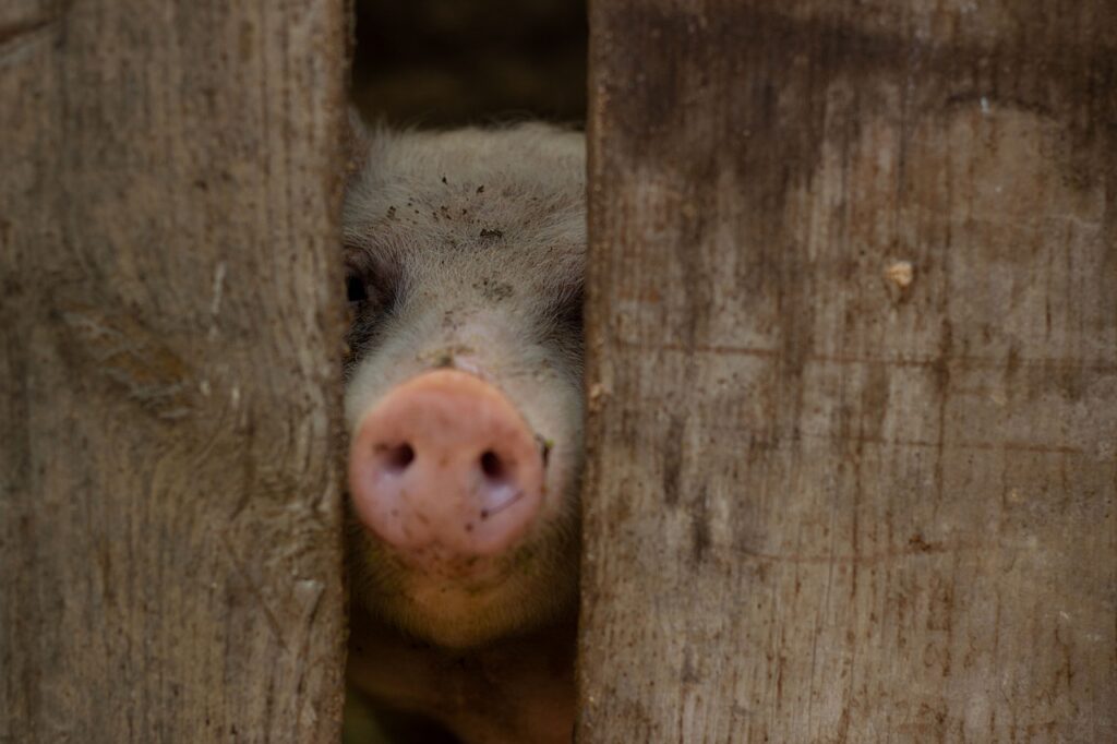 沖縄での年末年始におすすめの女子旅プランは？