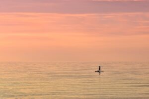 沖縄で冬に楽しむSUP体験はどんなもの？