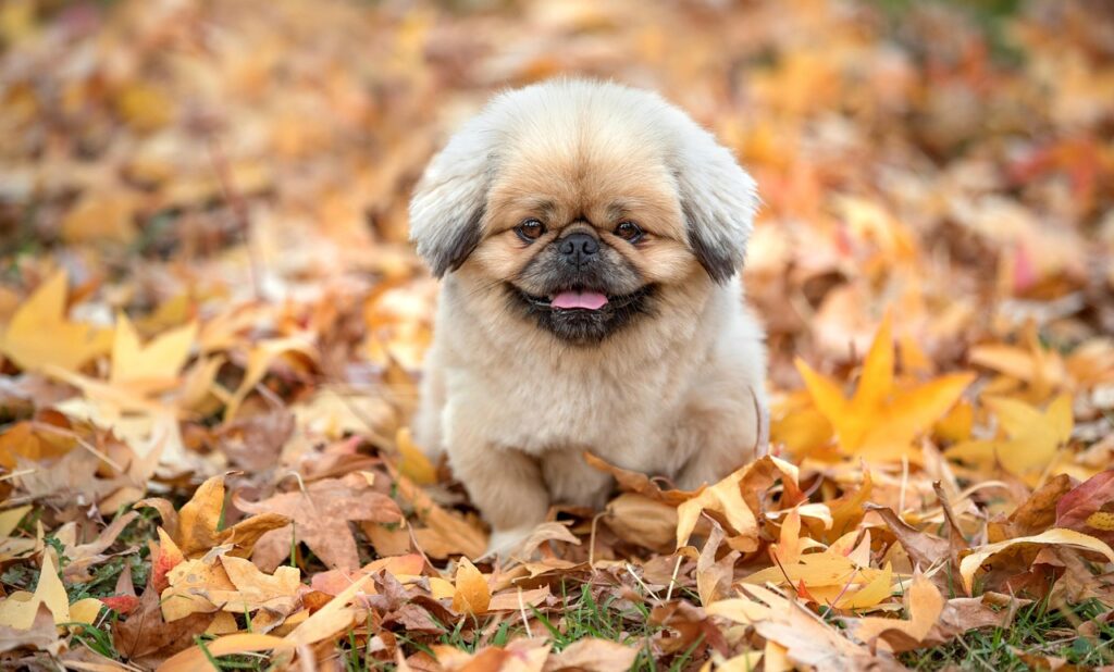 2月の沖縄で楽しめる海のアクティビティは？