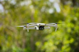 2月の沖縄旅行で楽しむべきアクティビティは？