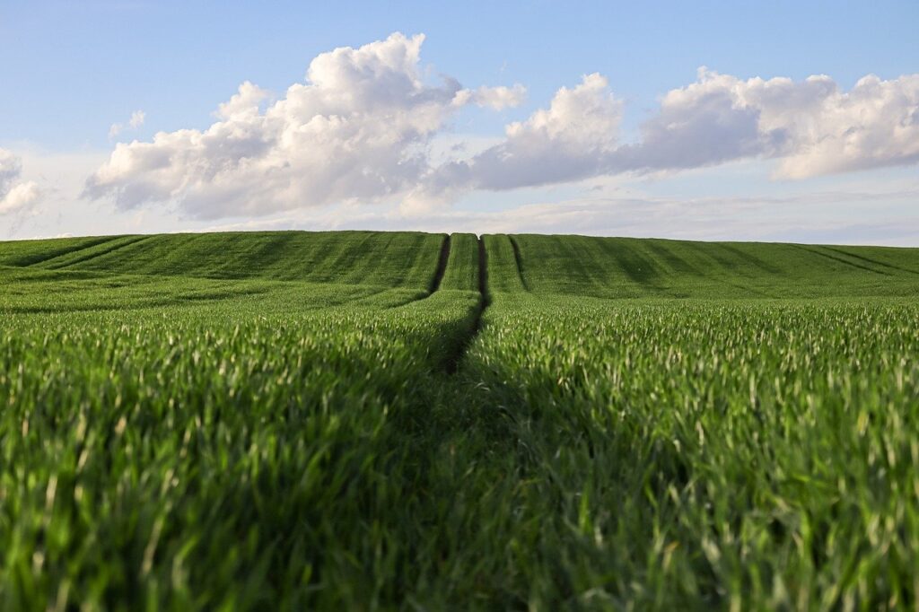 サンセットクルーズの魅力と楽しみ方は？