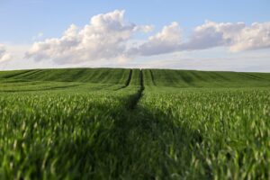 サンセットクルーズの魅力と楽しみ方は？