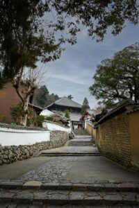 二月沖縄旅行のおすすめスポットと楽しみ方は？