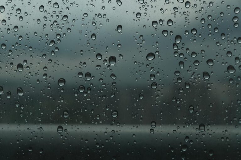 沖縄の12月の天気は雨が多いのか？