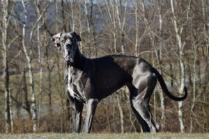 沖縄南部の海が見えるカフェでおすすめのスポットは？