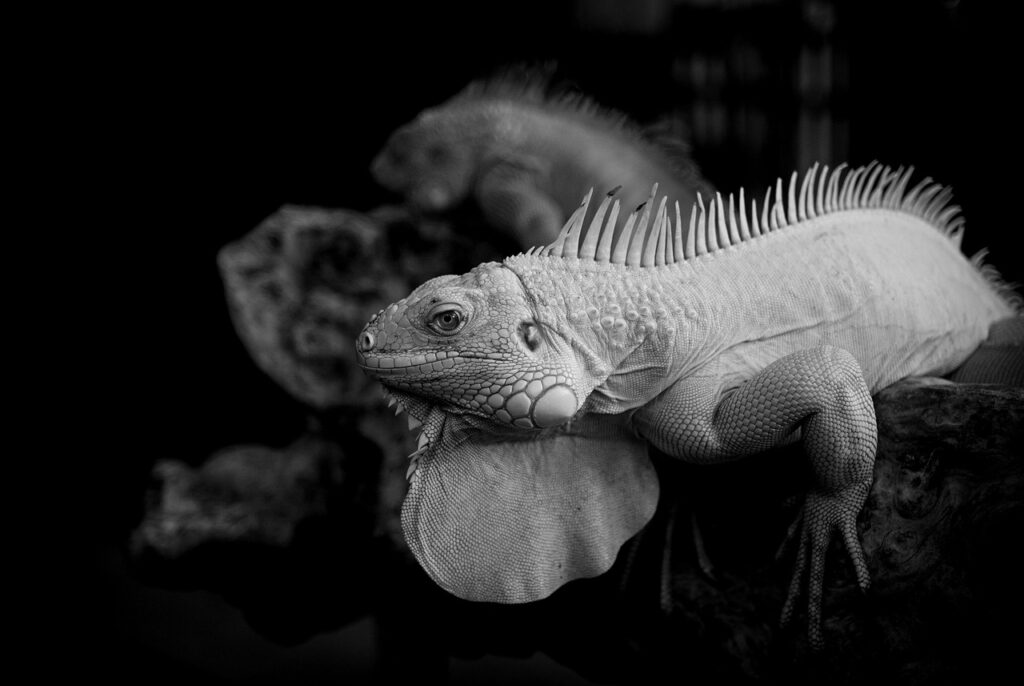 琉球アロママッサージの体験で得られるリラクゼーション効果は？