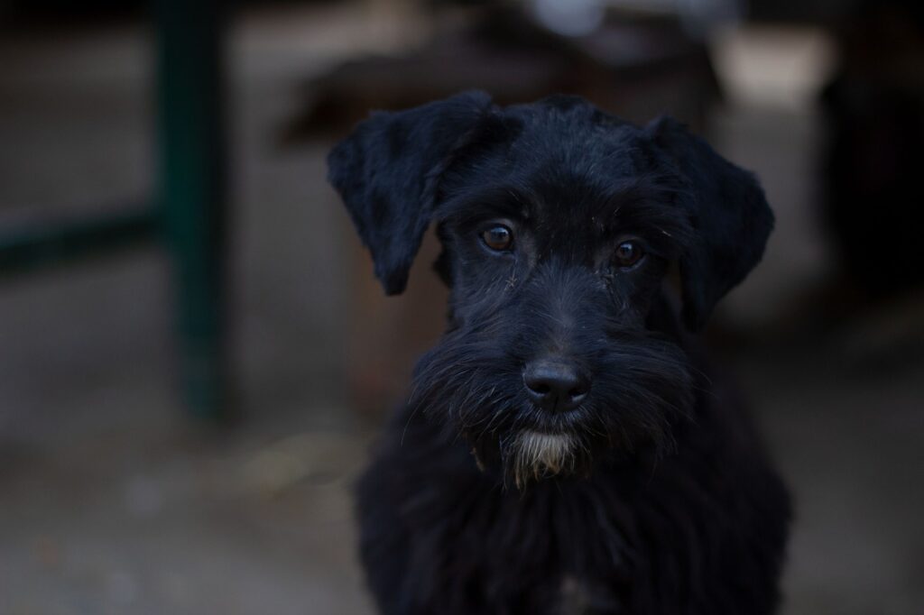 沖縄冬旅行の年末年始における混雑状況は？