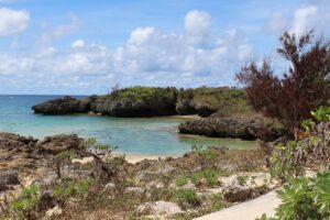 沖縄冬旅行の体験談でおすすめのアクティビティは？