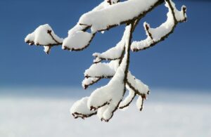 沖縄の冬の相場はどうなっている？