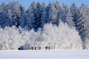 沖縄の冬旅行で楽しむべき文化体験は何？