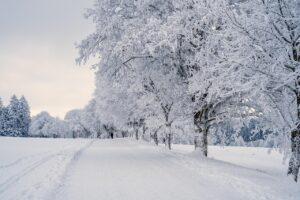 沖縄の冬におすすめの安いホテルはどこ？